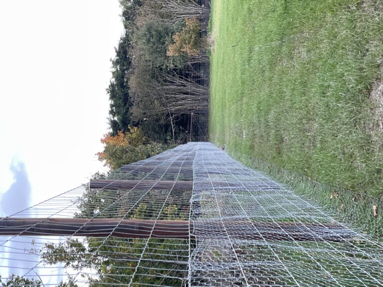 2278 dbe6d7a75612916879cff3eed4967851 1 768x576