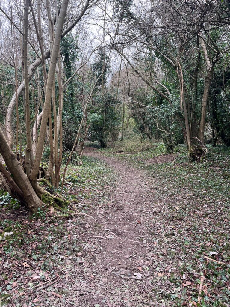 2283 03a02839e59f949fcf01bf025b3cbf0e 1 768x1024