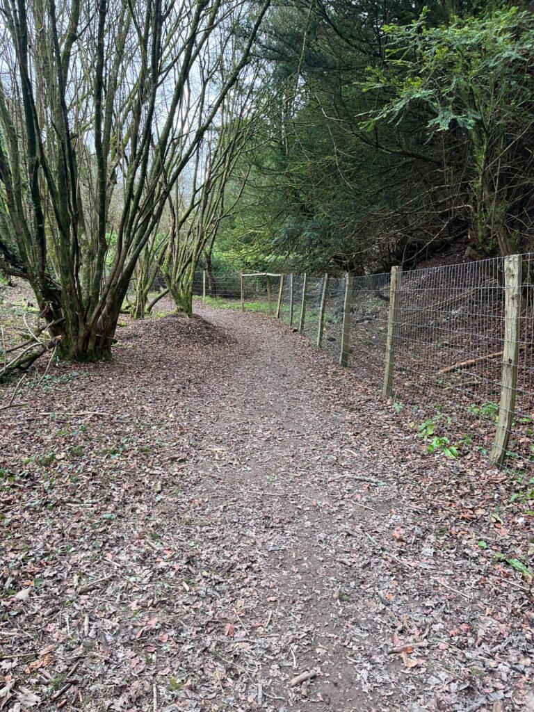 2283 384c804ca75498a0fbde9e584d5ab7ab 1 768x1024