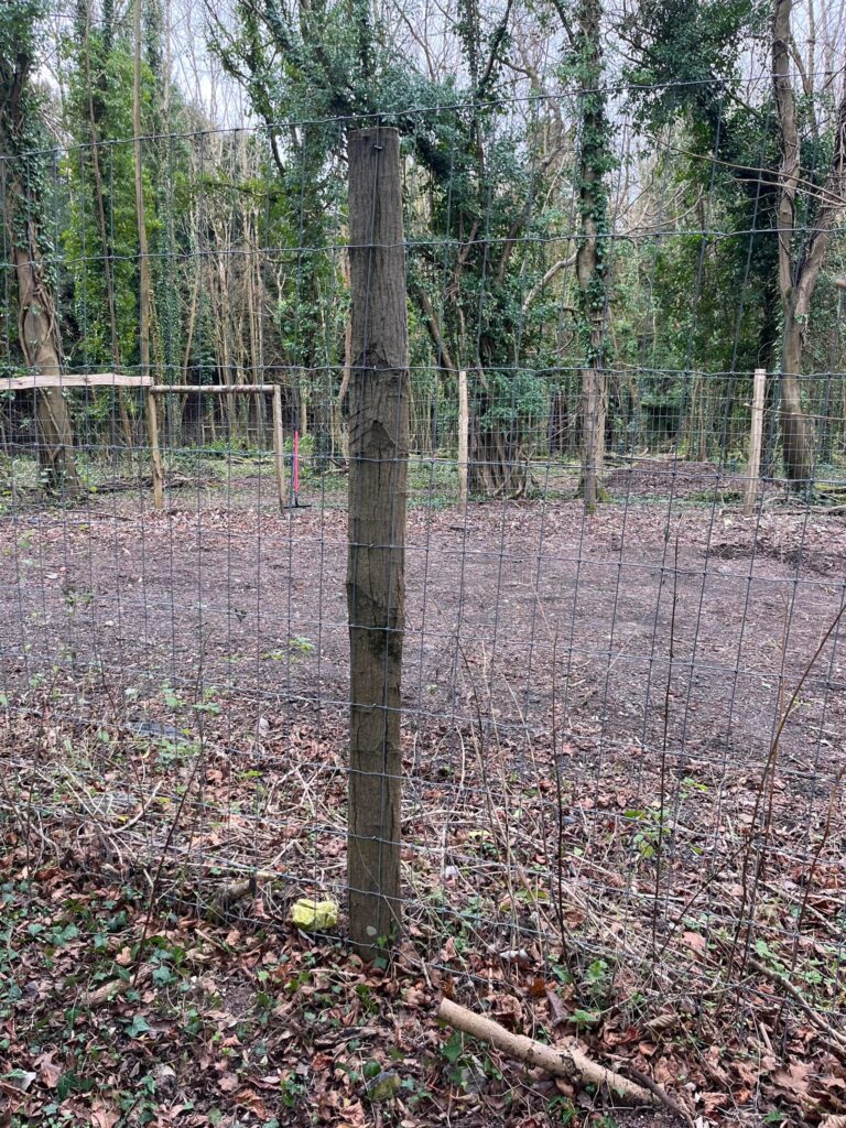 2283 3db128c9f91a45e3030eb27f28de514a 1 768x1024