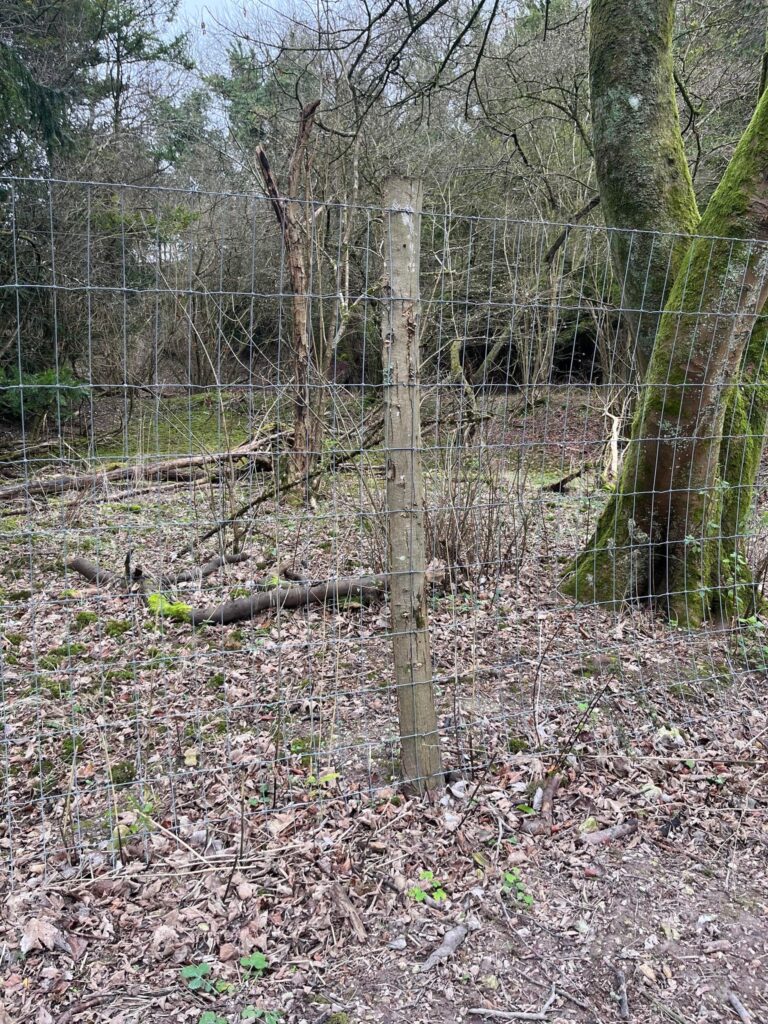 2283 6f1eedf88b83fb9ddf4deb0e6bcfe861 1 768x1024