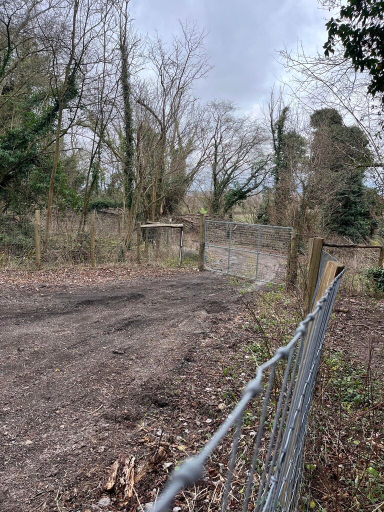 2283 b3afedd1df1bb6df384b4a11e3862d77 1 768x1024