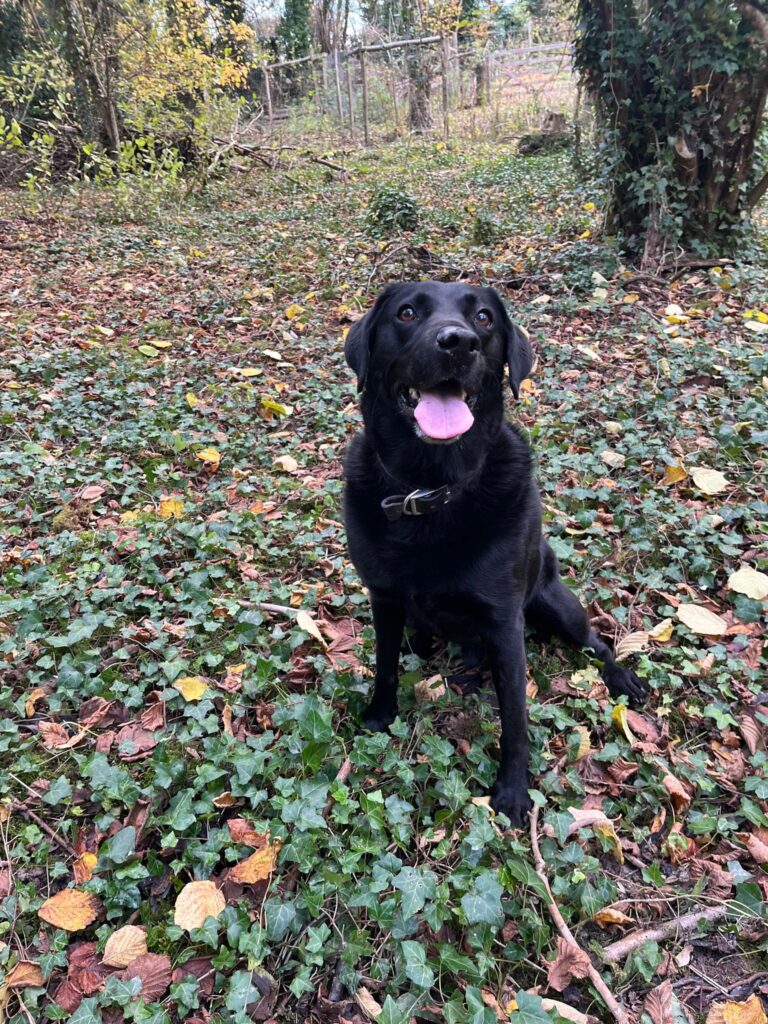 2283 bb6b6e80d04cf5705c838ec16a831703 1 768x1024