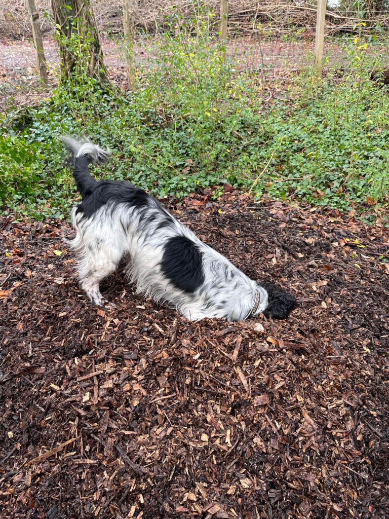 2283 c863c5805e08fbab35e6709d4d216143 1 768x1024