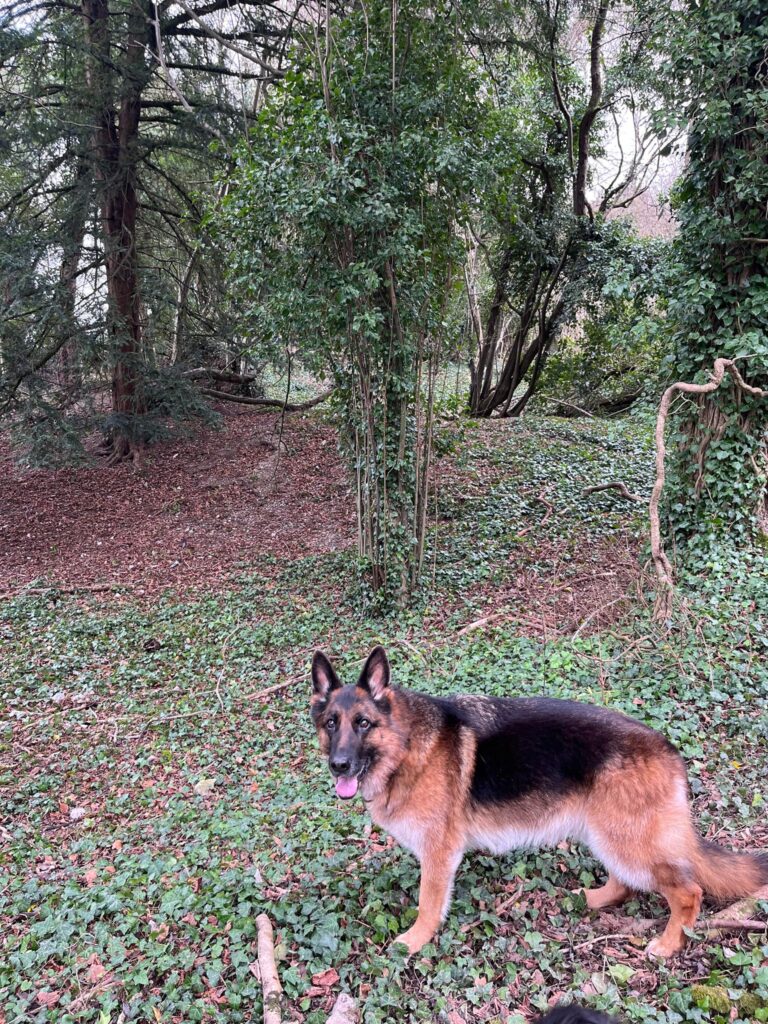 2283 ef68dc4d56540f1052c92a994f812e3d 1 768x1024