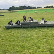 2284 07bb0c569105e2549b389b6ae90e456d 1