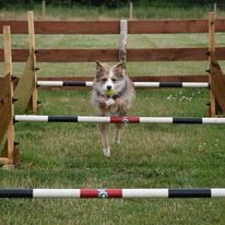 2284 10eacc16e0583f5d604e82a8a8c94058 1