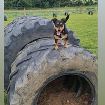 2284 3200ca8ded0d705c36799367cfb8425b 1