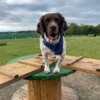 2284 735c8e1d25a599d9c9835dc2d8c341c6 1