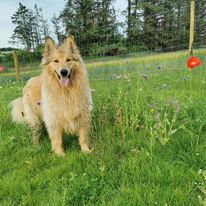 2284 74f076e1cb5c6488f7bf3ac134340e82 1