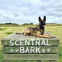 2284 7fe0715aa3998447dcb402754e76cc5b 1