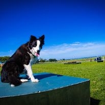 2284 843346c09ef7b8b5a74aa1a092853f7d 1