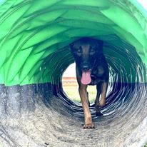 2284 9affb0f5edb35b5badf785009dd262ef 1