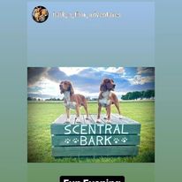 2284 cf75fdc3d54235d14cbd5ddf11220105 1