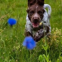 2284 d5ae17f8ea3e9ae40e74dadb1b38ee46 1