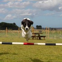 2284 fd1d9e8abb9577c4da0727683cff03d1 1