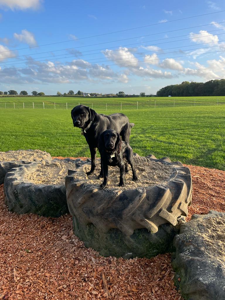 2286 d3d2eb7b1417b8fdbb96ed0ec970696e 1