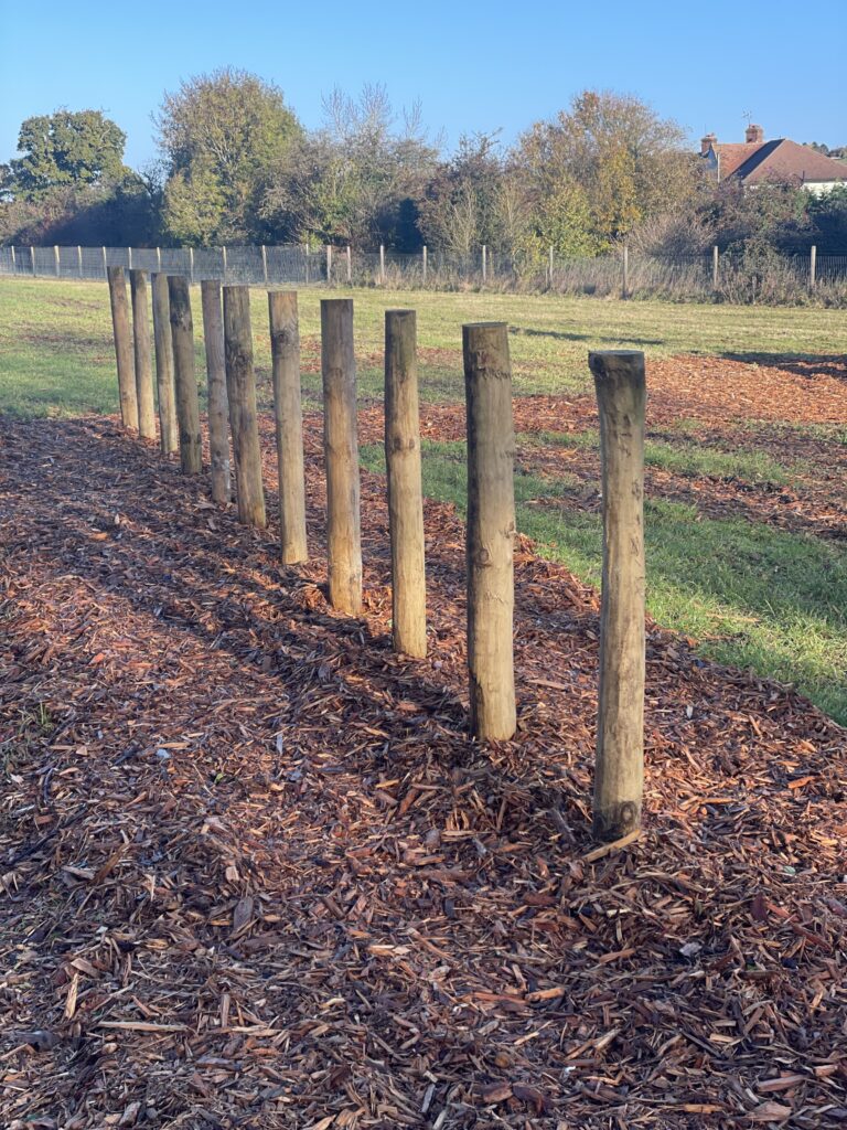 2287 58e8d0970bd3ee242859ab2a336a2772 1 768x1024