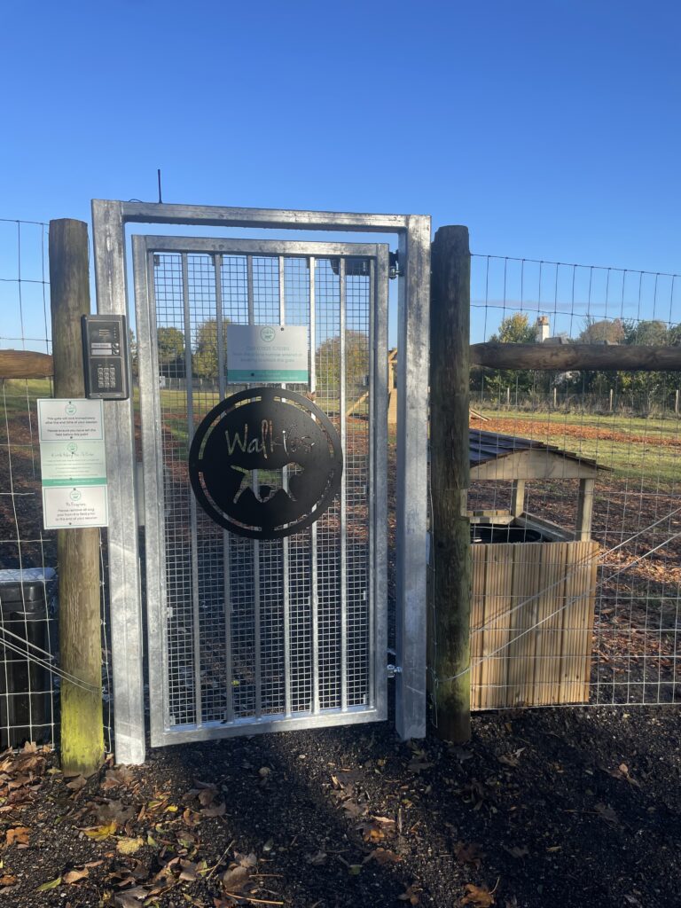 2287 b8ff1d1ac42512a5bba5530fd1606925 1 768x1024