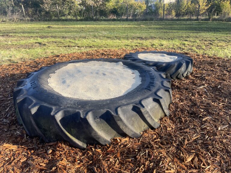 2287 f43a043491910f126941cf1ea73e706d 1 768x576