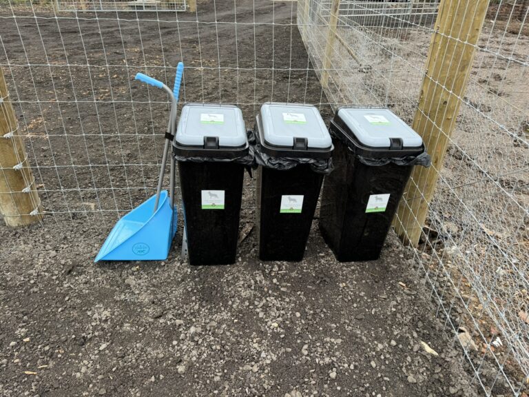 2288 46b53fbbca8fa892ffc9962e7dfc0775 1 768x576