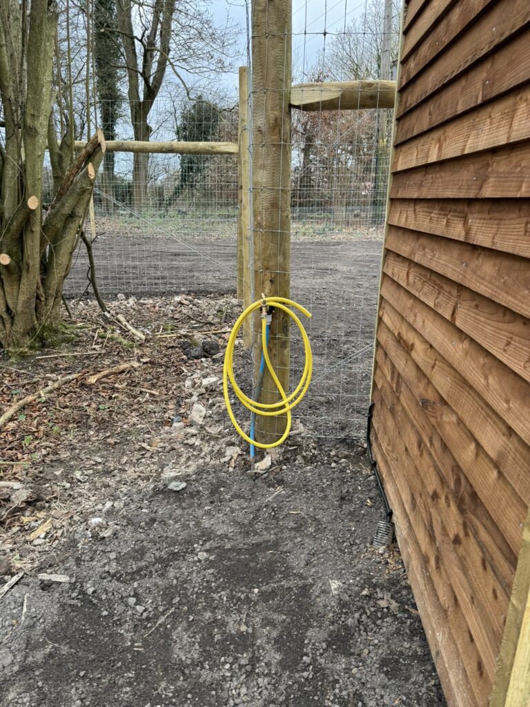 2288 65f9a6805db4529066bfb5959b4a32f7 1 768x1024