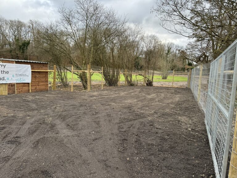 2288 95b125b87899382583da75dbd3460664 1 768x576