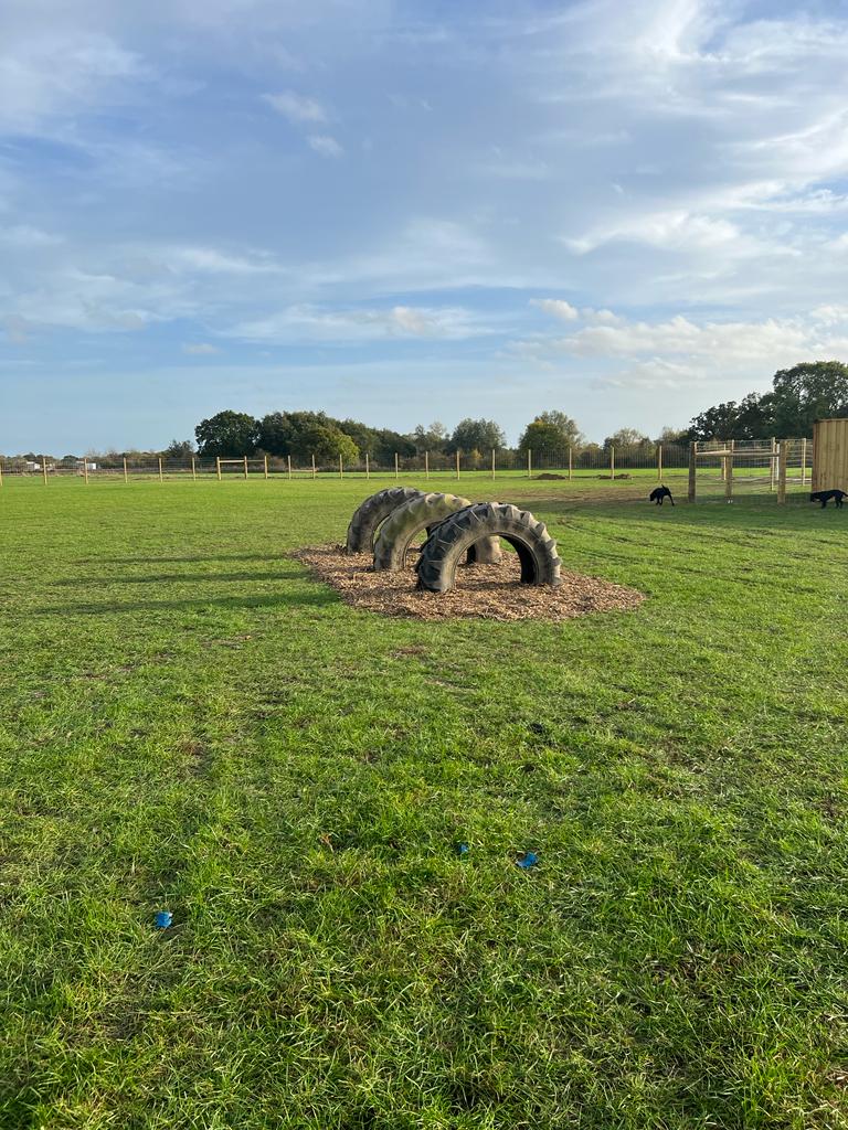 2289 86b9733ed76838aa59744dfed09b8277 1