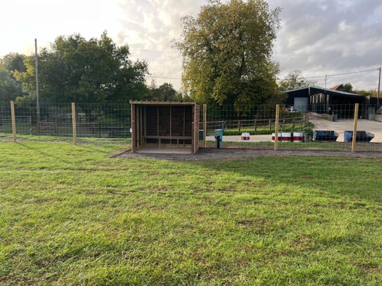 2289 f54926cddd3d3252e94f8cc9ce32bb75 1 768x576