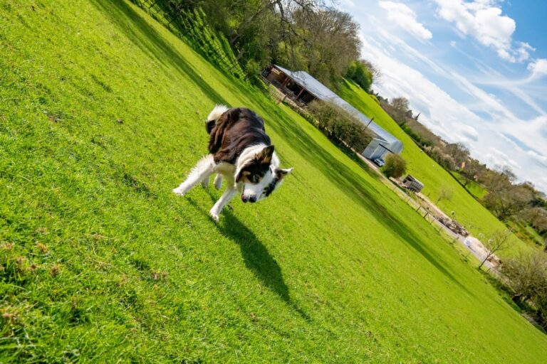 2290 b7cc73edd90ac139a9bffa6b81407341 1 768x512