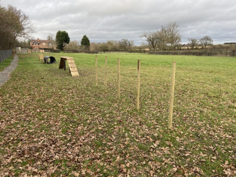 2293 088d0fe09ec226b19253fa26918772b2 1 768x576