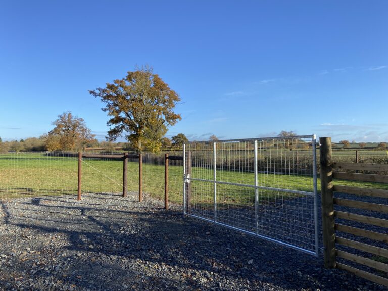 2293 475295c52c97bc4527dc7d2f53e5f756 1 768x576