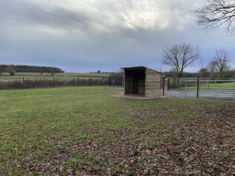 2293 528b2fc77eb62226b9240d9bc39fe1f0 1 768x576