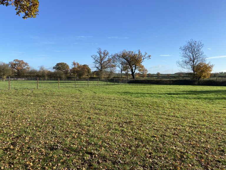 2293 925dc31260af27872a68d133394c9f74 1 768x576