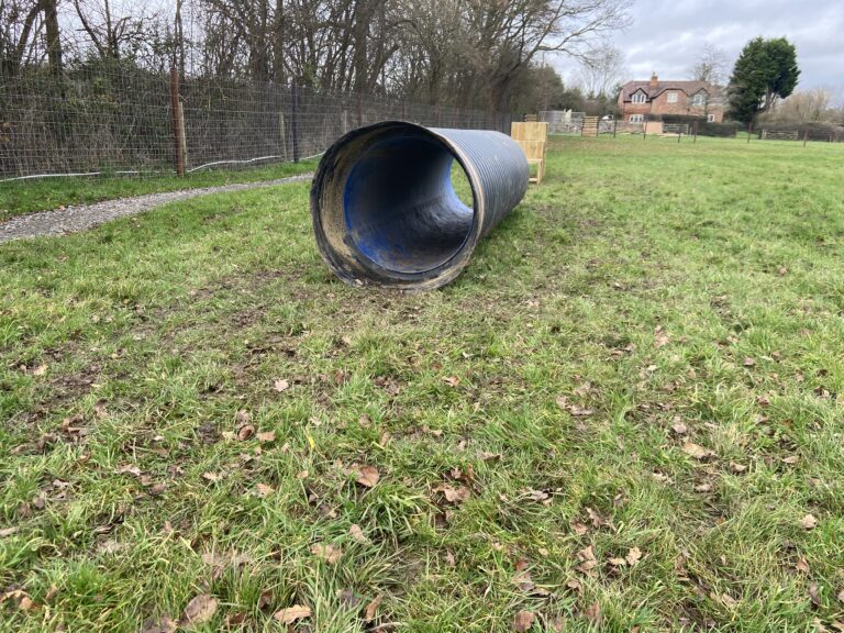 2293 c92c5cbe218e317191093ddbfc6f64c9 1 768x576