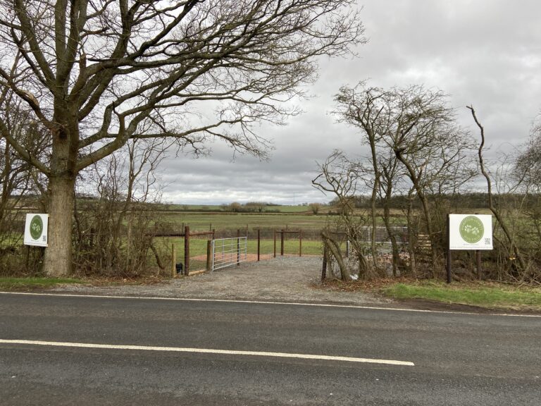 2293 d5d3b7a99068fae0eeb62e45fe0e6f57 1 768x576