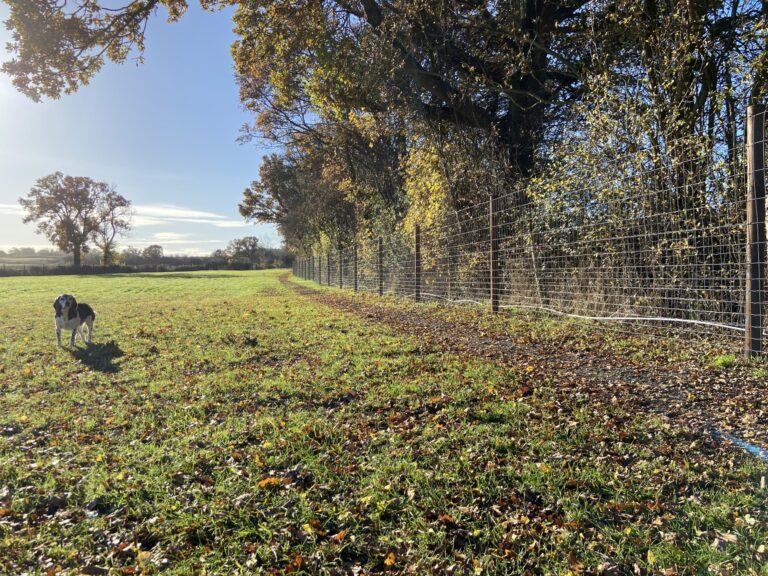 2293 f2856fa29e651363429bf9572e82dd7d 1 scaled 768x576