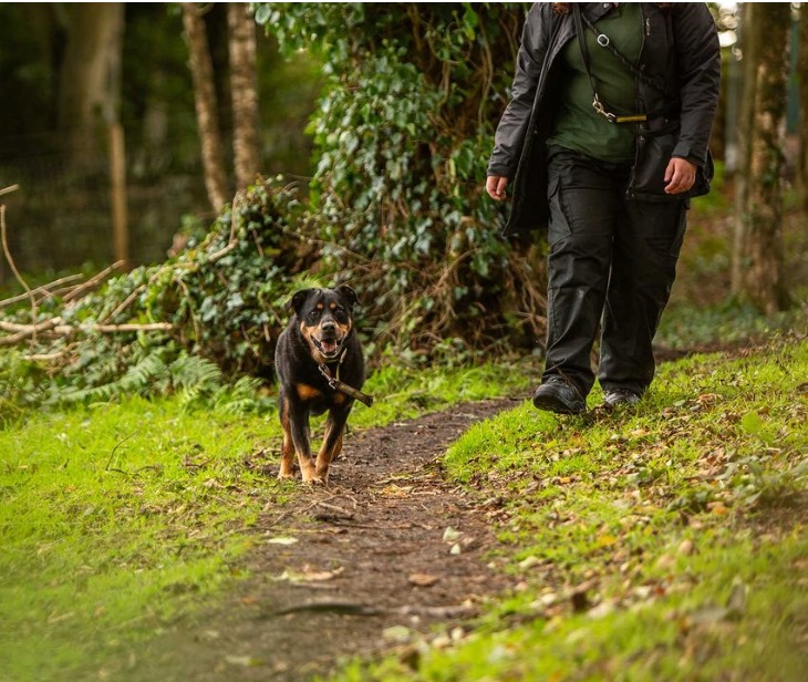 2294 222872059ef830e0ae5ac6b6954581a6 1