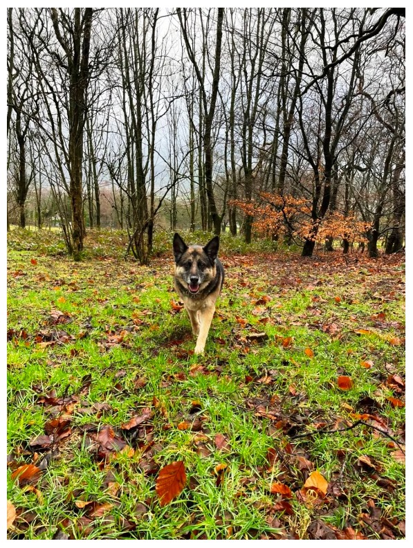 2294 5bf49363d1416d6c7154f1f61d176a35 1