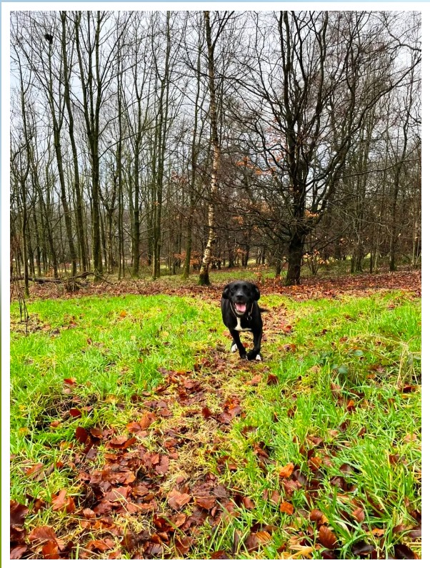 2294 643b5f0c6492080b77c30a6aad518b04 1