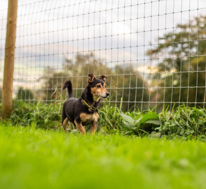 2294 65abf8d0f4ea62ce0b34cdd5bc95ebf0 1