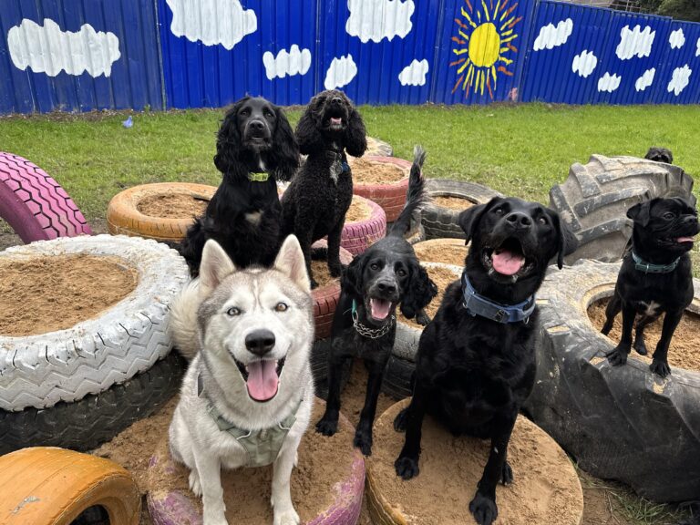 2296 0c7c51bc5e218b380a2745166267c1cb 1 768x576