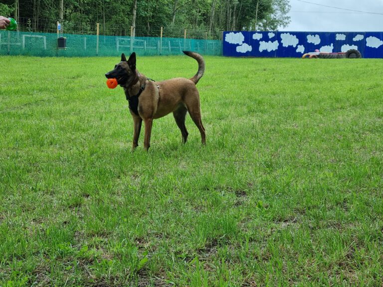 2296 12facbed606ddec55947283f3a8a739e 1 768x576