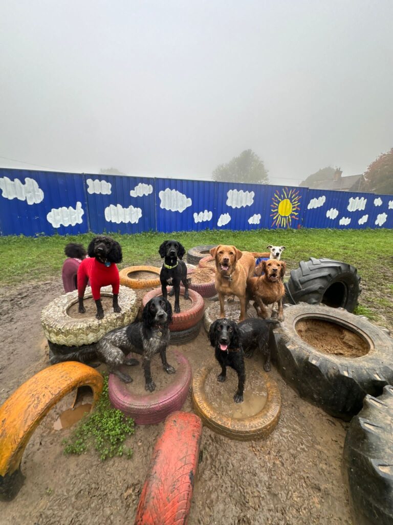 2296 1ced1cecbafadd10ebb299cf0c37b256 1 768x1024