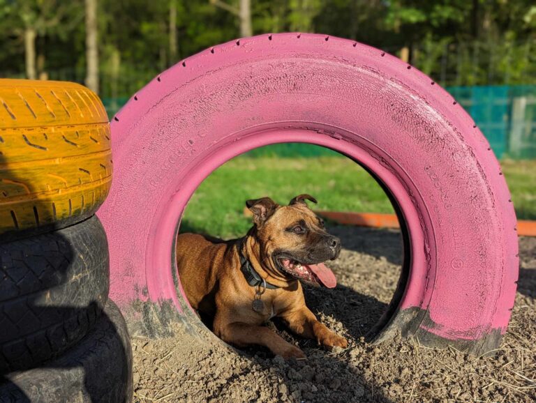 2296 3b18f8d7d447a3db7a7f2238348a0fdf 1 768x578