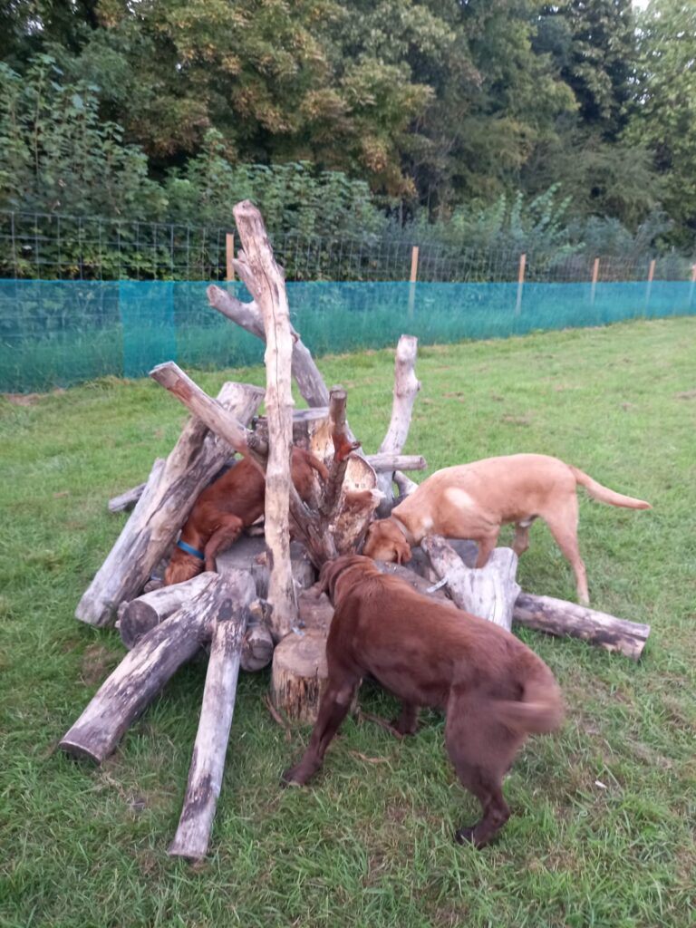 2296 3d0b7477b213ad6a011e15ea06d53284 1 768x1024