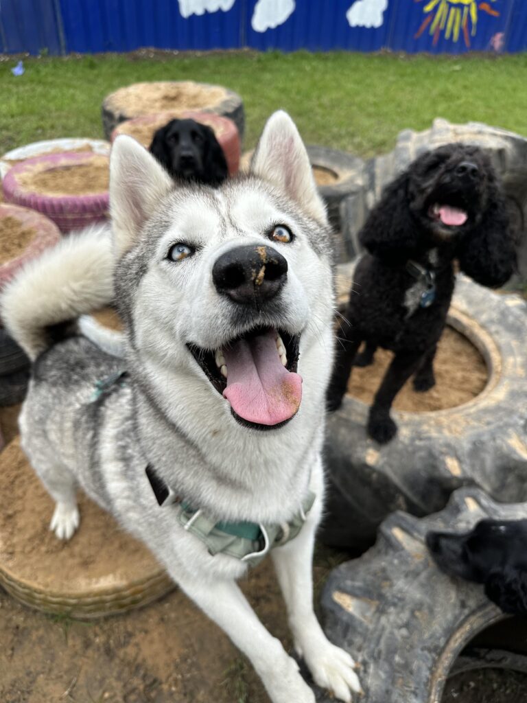 2296 4ad80b8f360ea98f7f5fb15eb222b544 1 768x1024