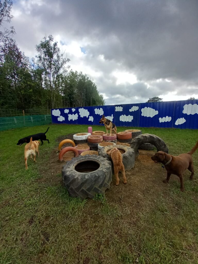 2296 4d6a31038a1268bbfa470dcc5f7647ee 1 768x1024