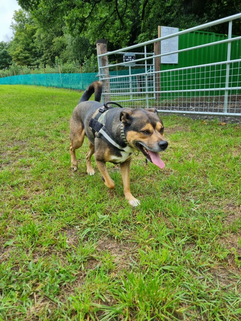 2296 546258ff7b32fdf3164c41dccee050c0 1 768x1024