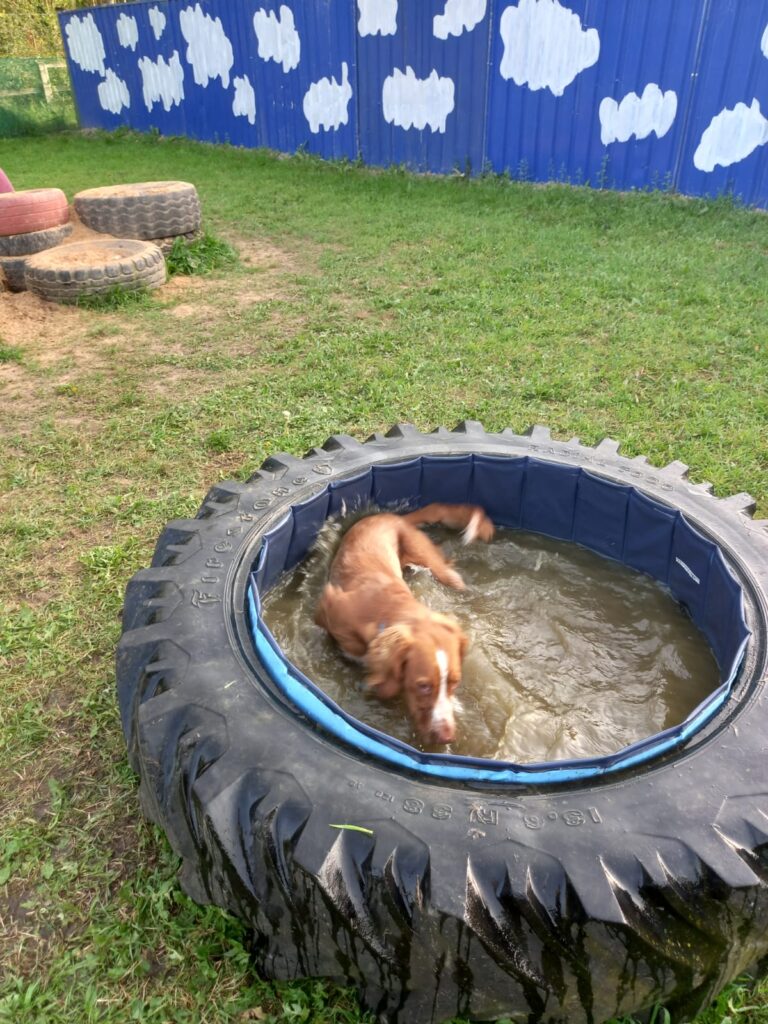 2296 5f2bb1c87105977558581b918bad79e2 1 768x1024